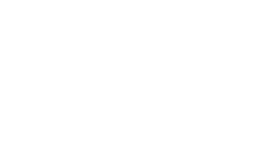 BetBeast Casino Review