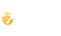 Joo Casino