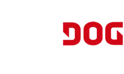 Red Dog Casino Review
